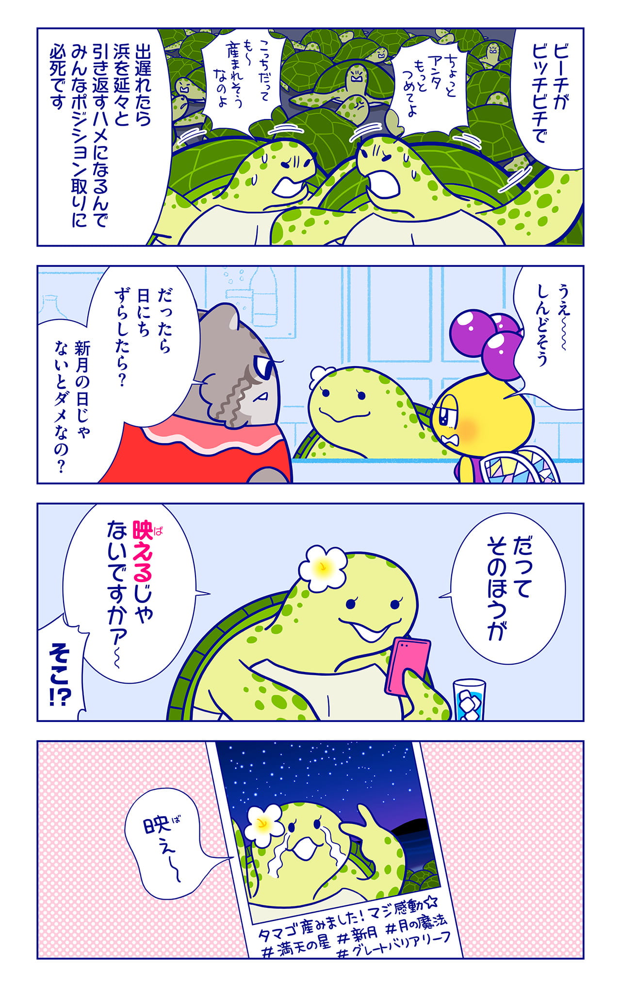 タットルさんについての漫画2枚目