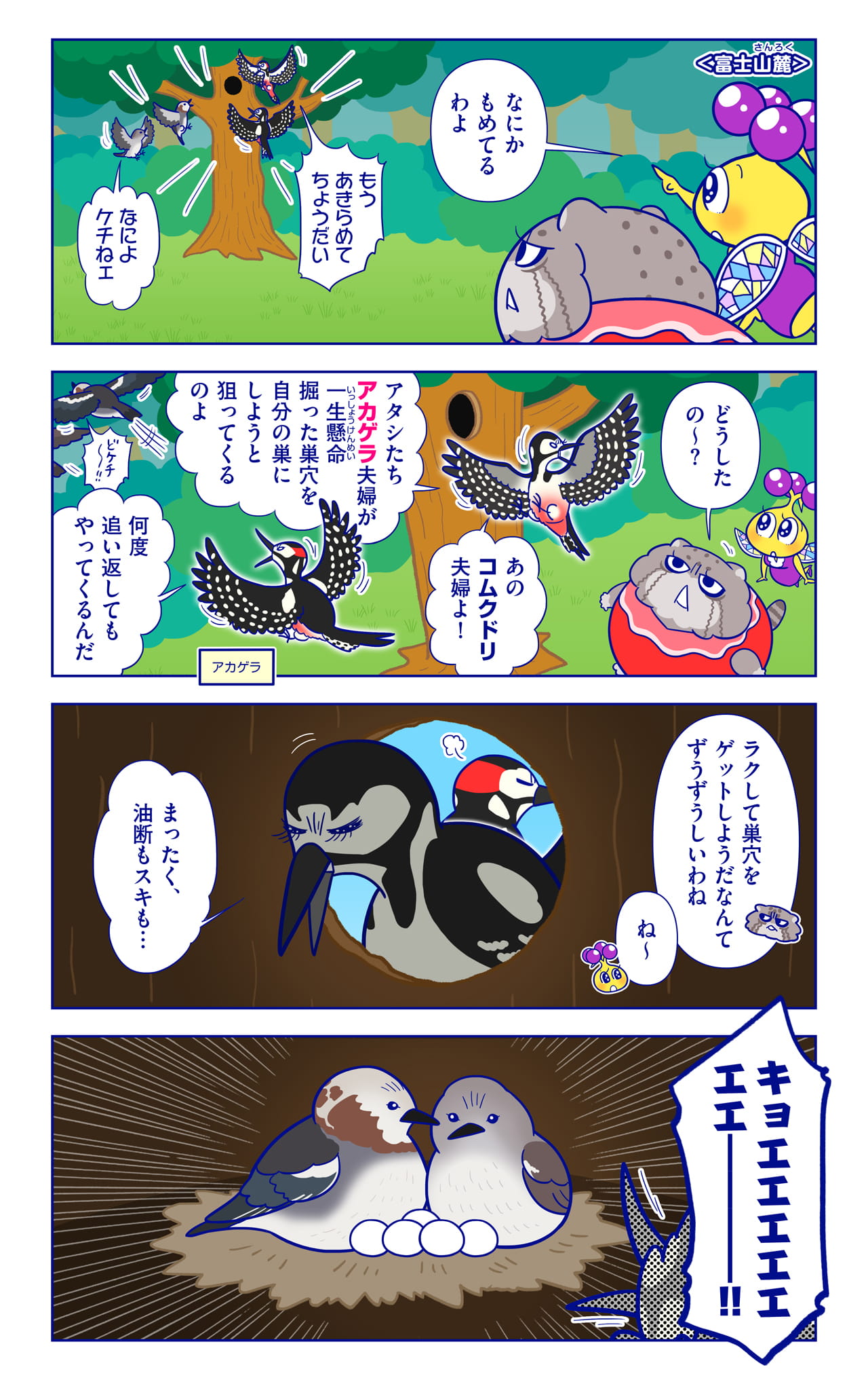 アカゲラについての漫画1枚目