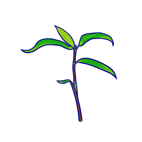 クマイザサのキャラクター画像