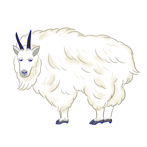 シロイワヤギのキャラクター画像