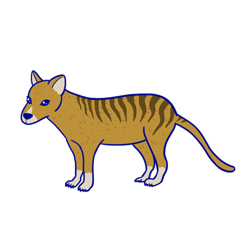 タスマニアタイガーのキャラクター画像