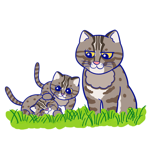 ツシマヤマネコのキャラクター画像